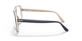 RB4356V STATE SIDE OPTICS