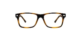 clearly Glasses steinbach