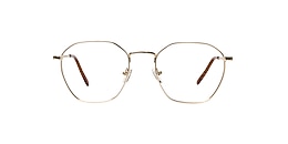clearly Glasses camrose