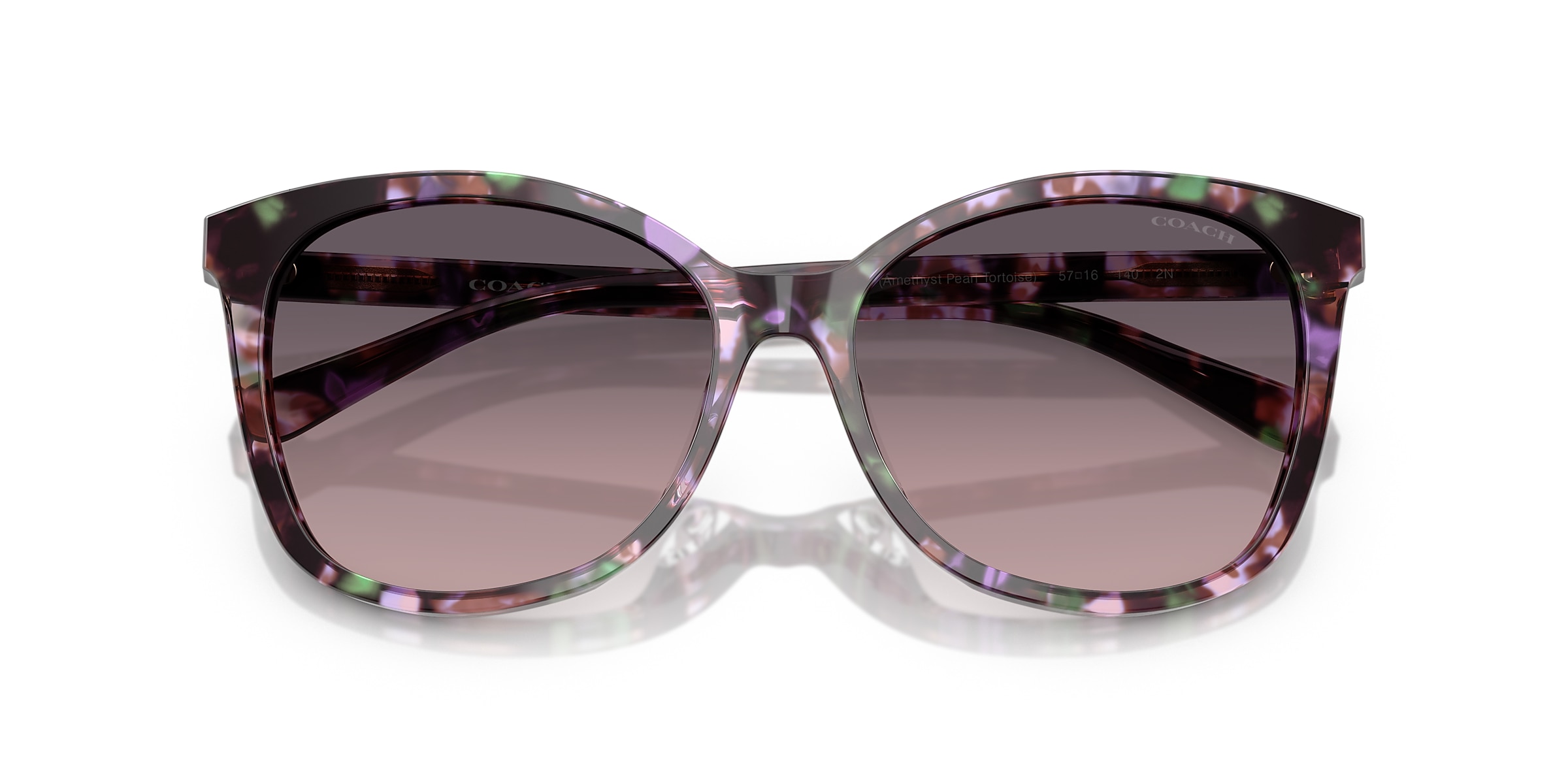 Coach Sunglasses HC8271U L1101