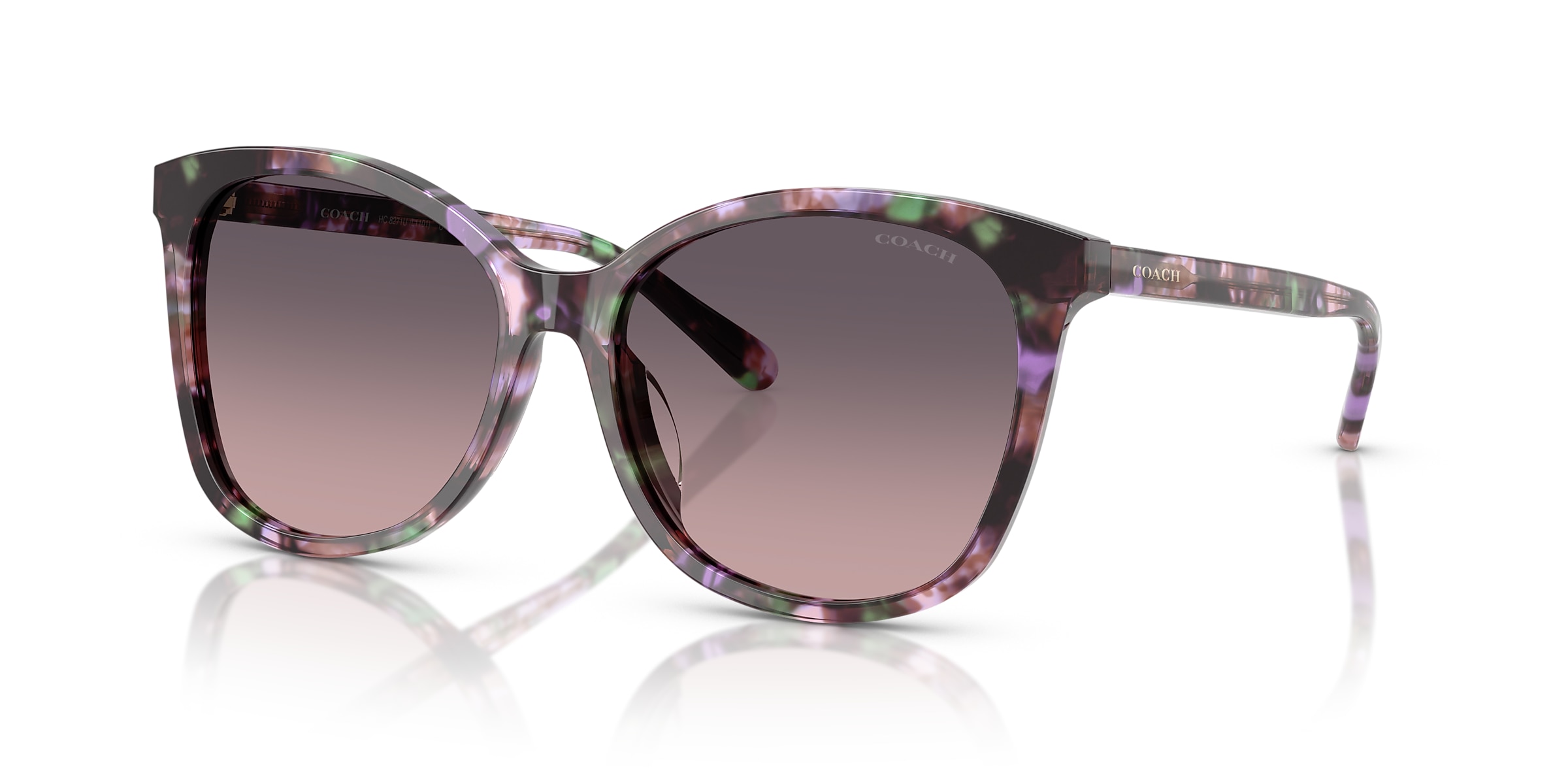Coach Sunglasses HC8271U L1101