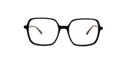 clearly Glasses dragon