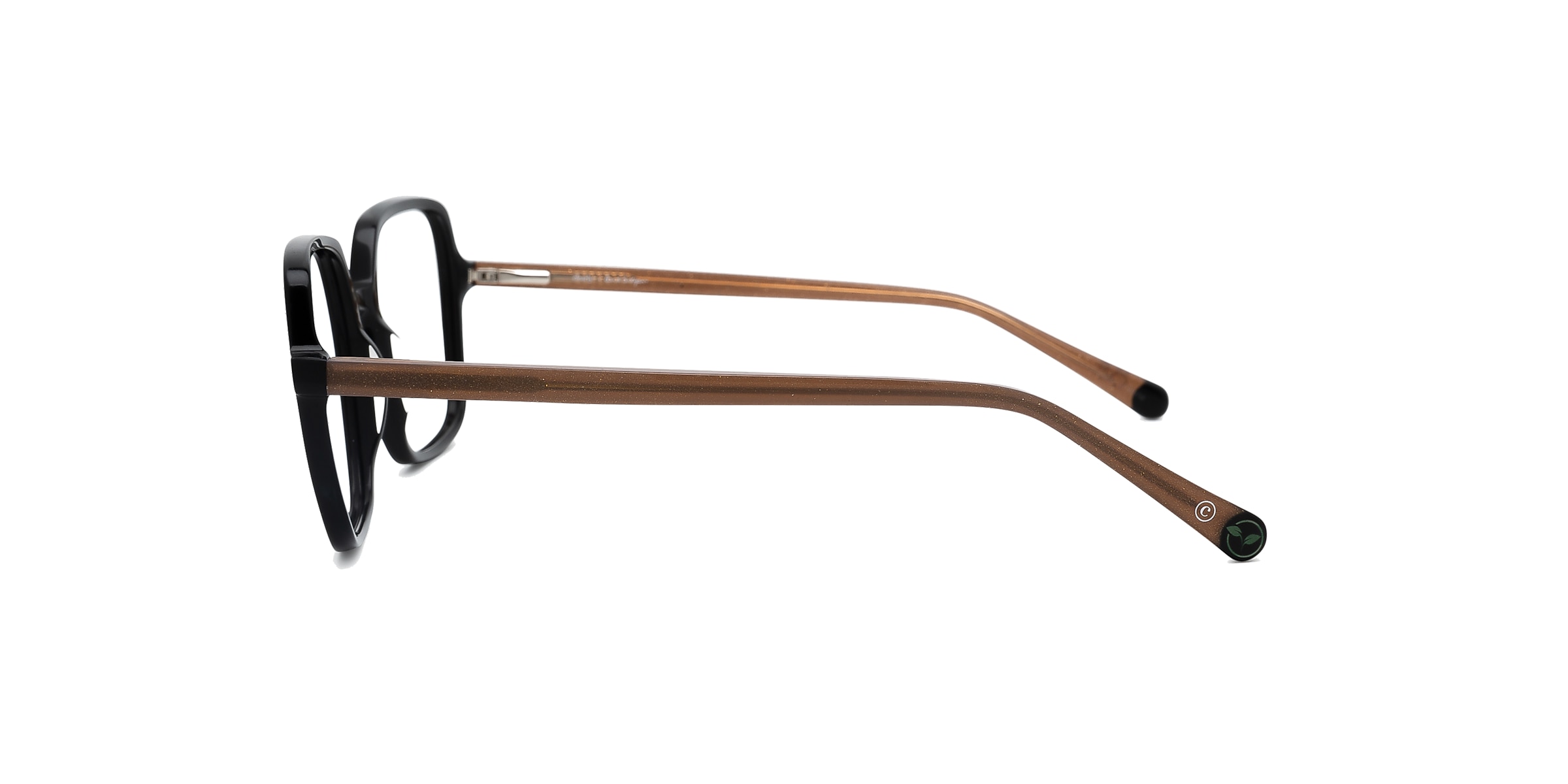 Clearly Glasses DRAGON