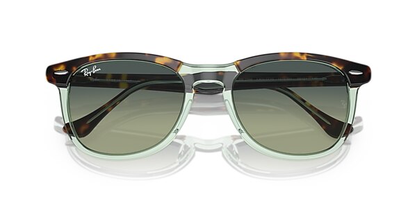 RB2398 EAGLE EYE
