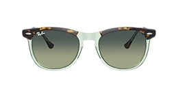 ray-ban Sunglasses rb2398 eagle eye
