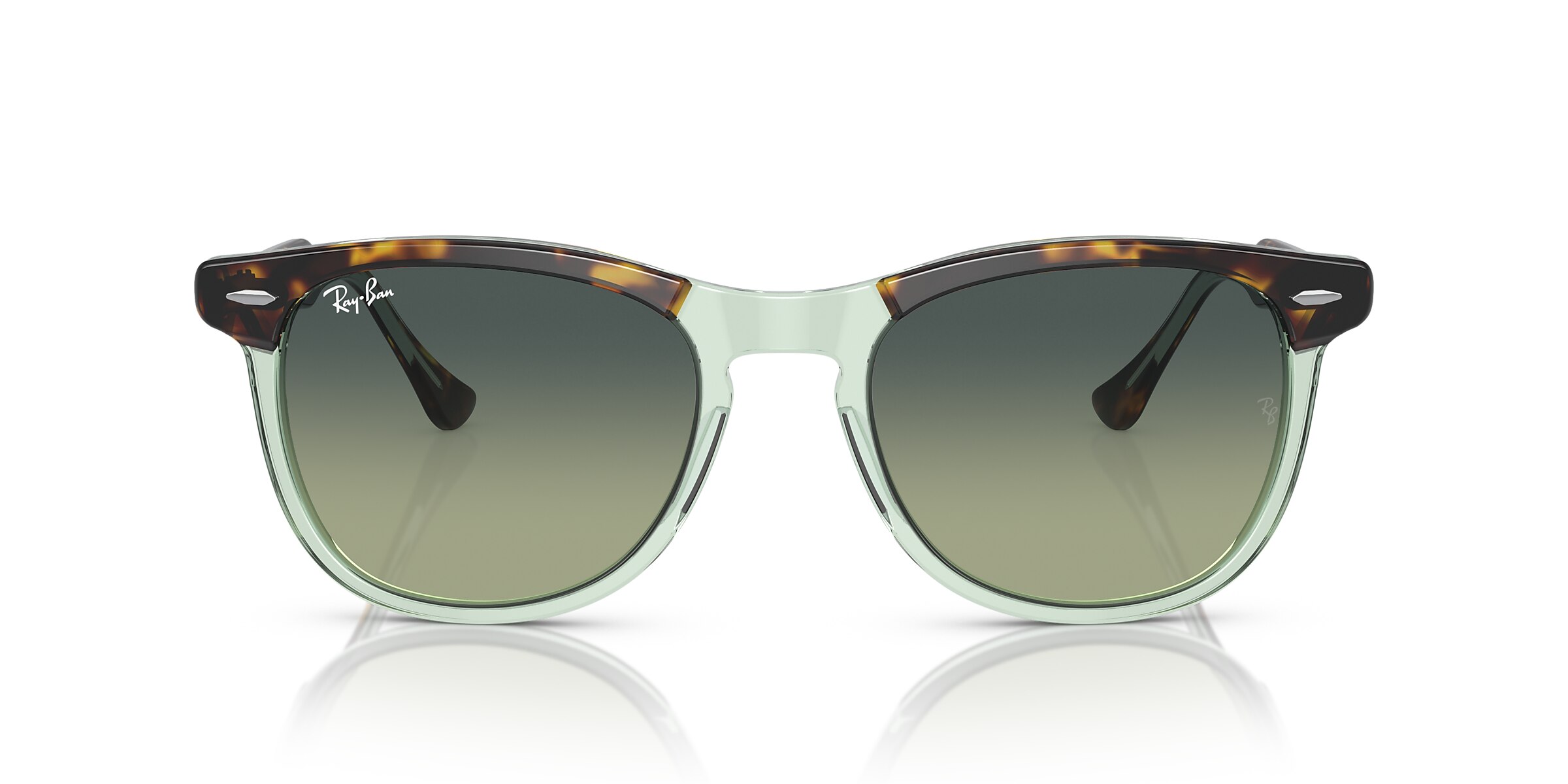 Ray-Ban Sunglasses RB2398 EAGLE EYE
