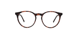 clearly Glasses owl
