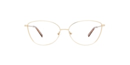 clearly Glasses algonquin