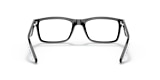 RB5287 OPTICS