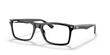 RB5287 OPTICS
