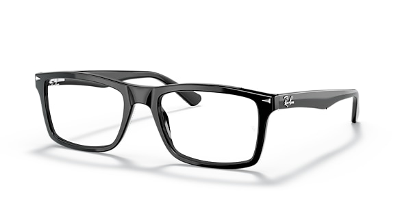 RB5287 OPTICS