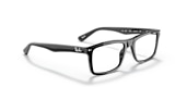 RB5287 OPTICS