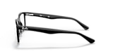 RB5287 OPTICS