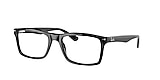 RB5287 OPTICS