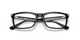 RB5287 OPTICS