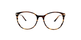 clearly Glasses autumn