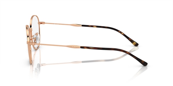 RB6509 OPTICS
