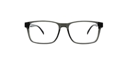 clearly Glasses petrel