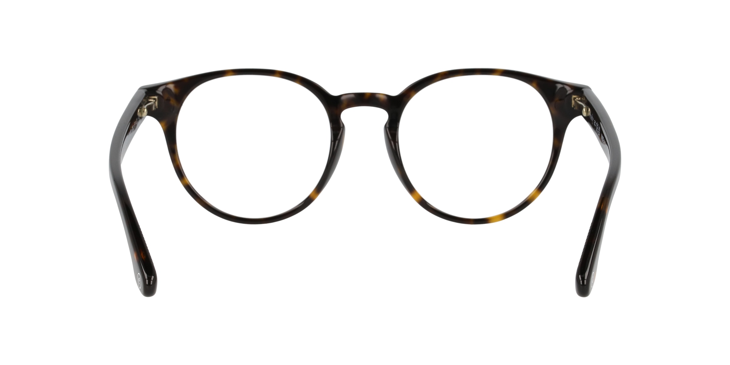 Clearly Glasses DEWDROP