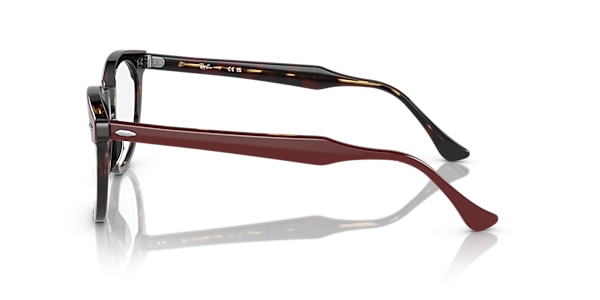 RB5598 EAGLE EYE OPTICS
