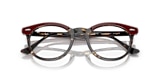 RB5598 EAGLE EYE OPTICS