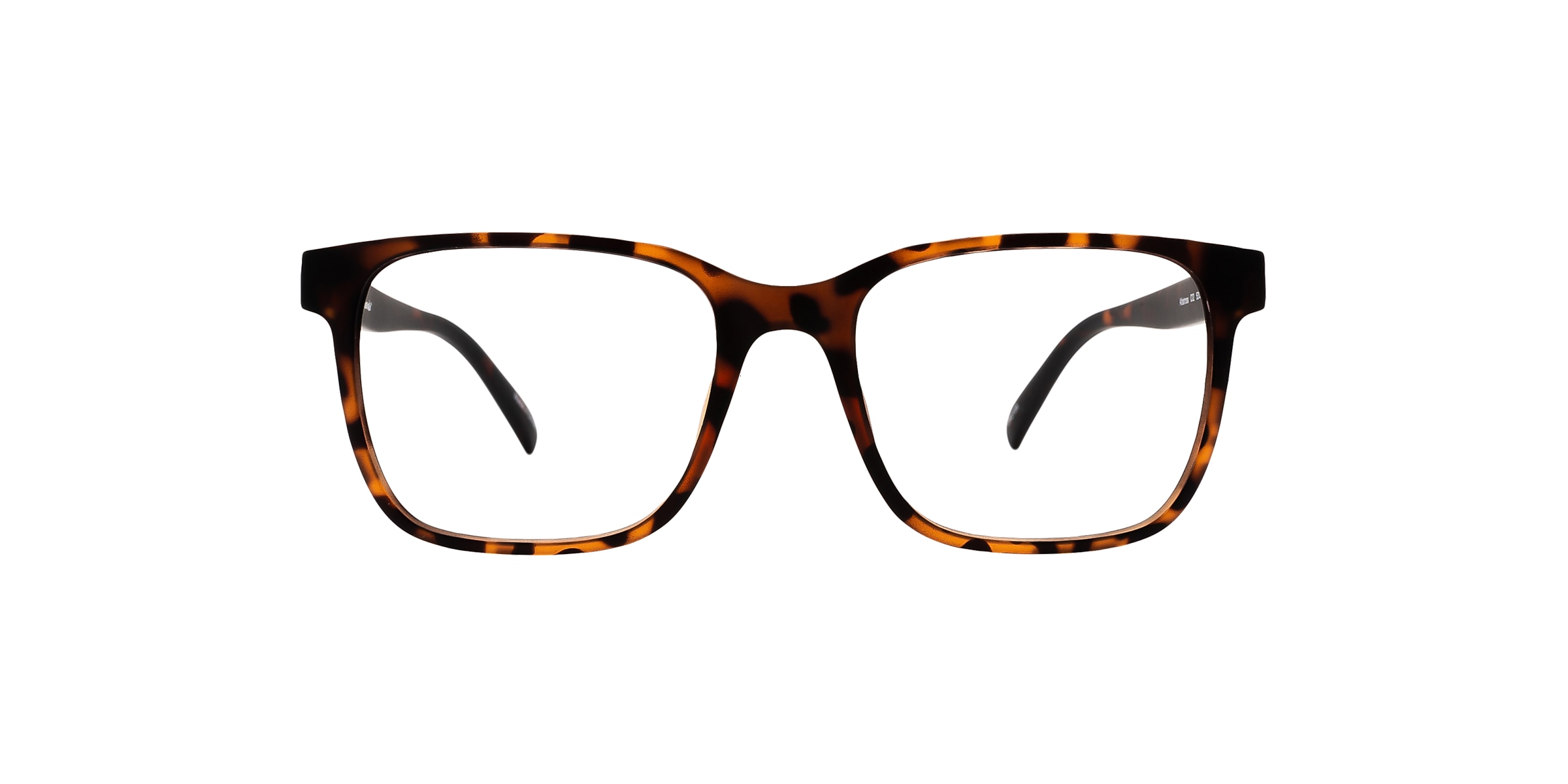 Clearly Glasses ALBATROSS