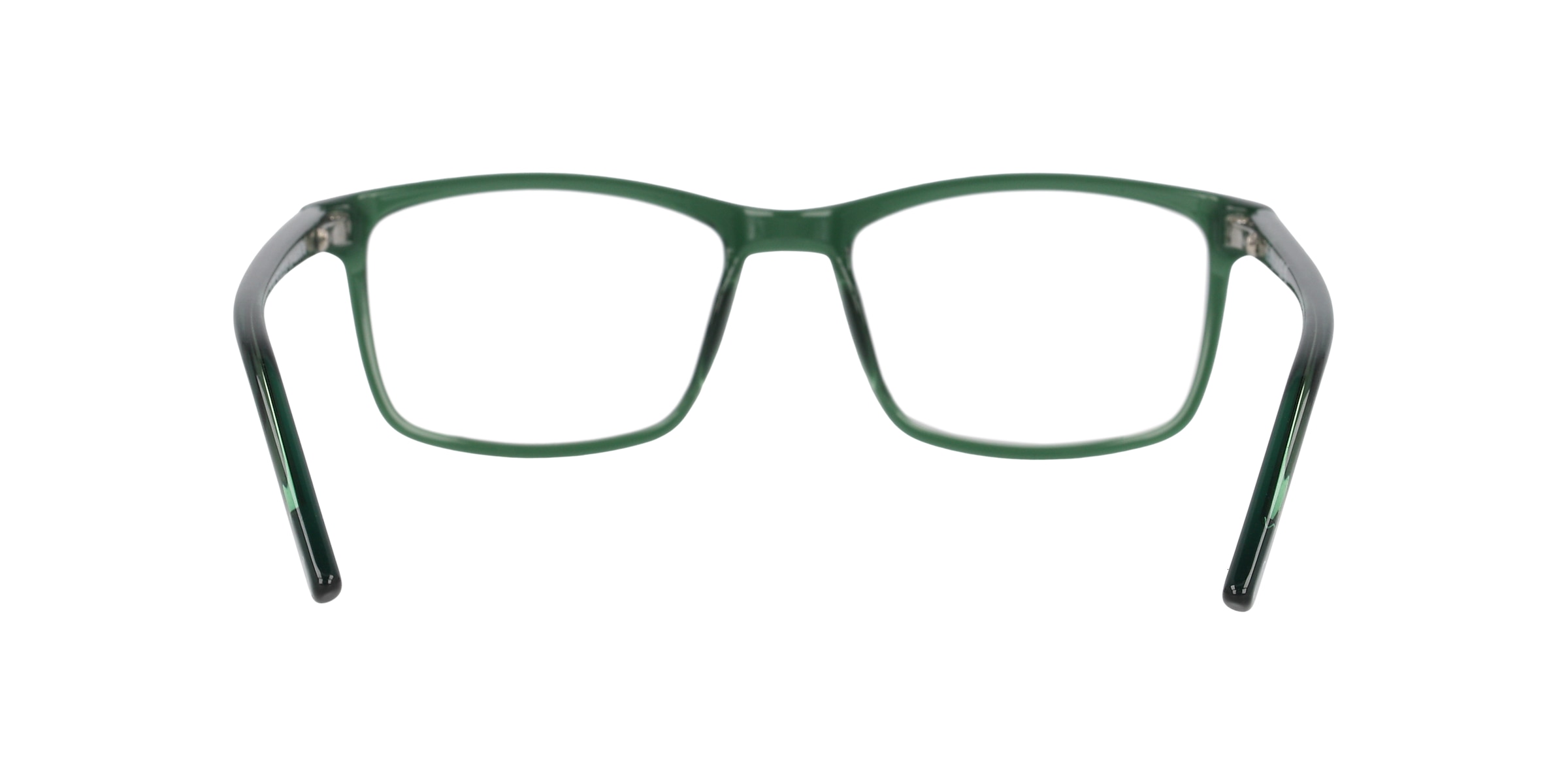 Clearly Glasses POLAR BEAR