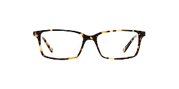 main and central Glasses stonehaven