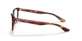 RB5391 OPTICS