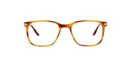 clearly Glasses comeau