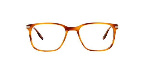 Clearly Glasses COMEAU