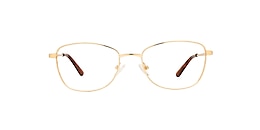 clearly Glasses bertrand