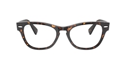 ray-ban Glasses rb2201v laramie optics