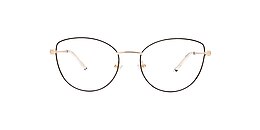 kam dhillon Glasses paulette