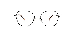 main and central Glasses hugheden