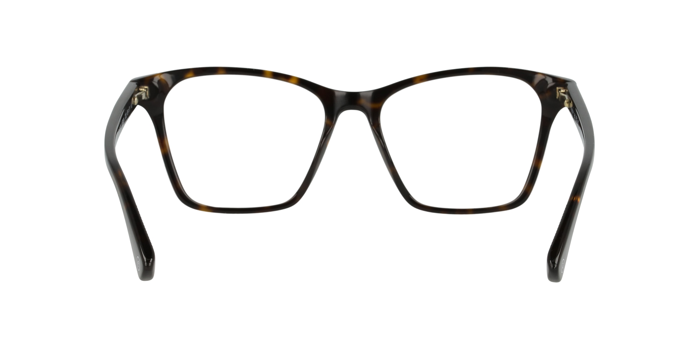 Clearly Glasses NERIDA