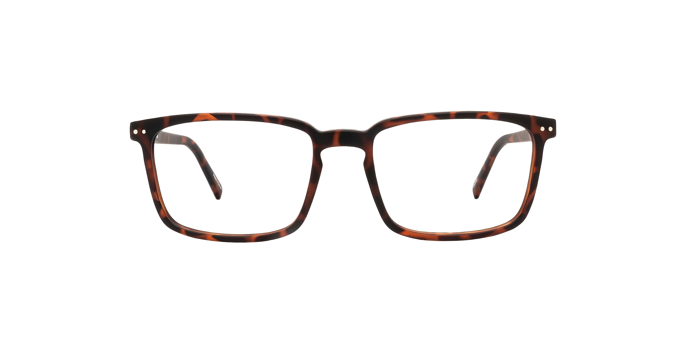 Reincarnate Glasses CURLEW