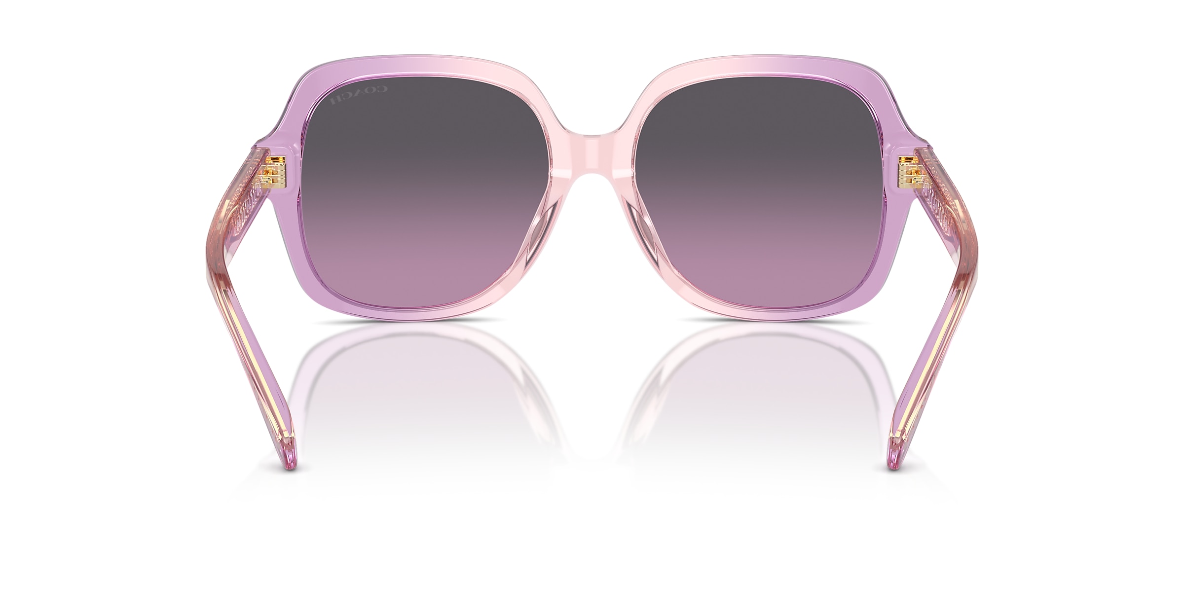 Coach Sunglasses HC8395U CR614