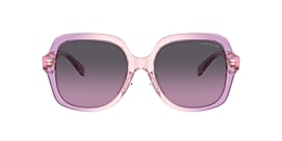 coach Sunglasses hc8395u cr614