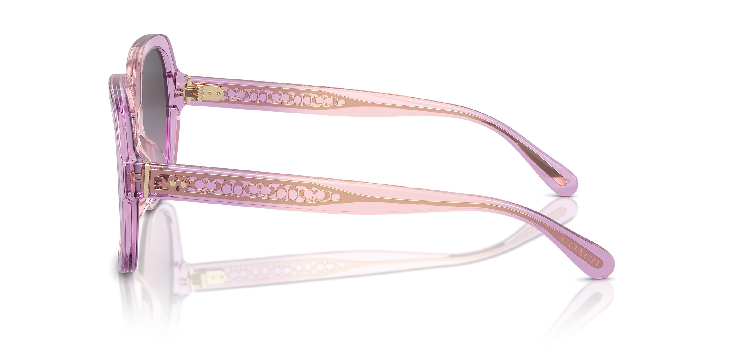 Coach Sunglasses HC8395U CR614