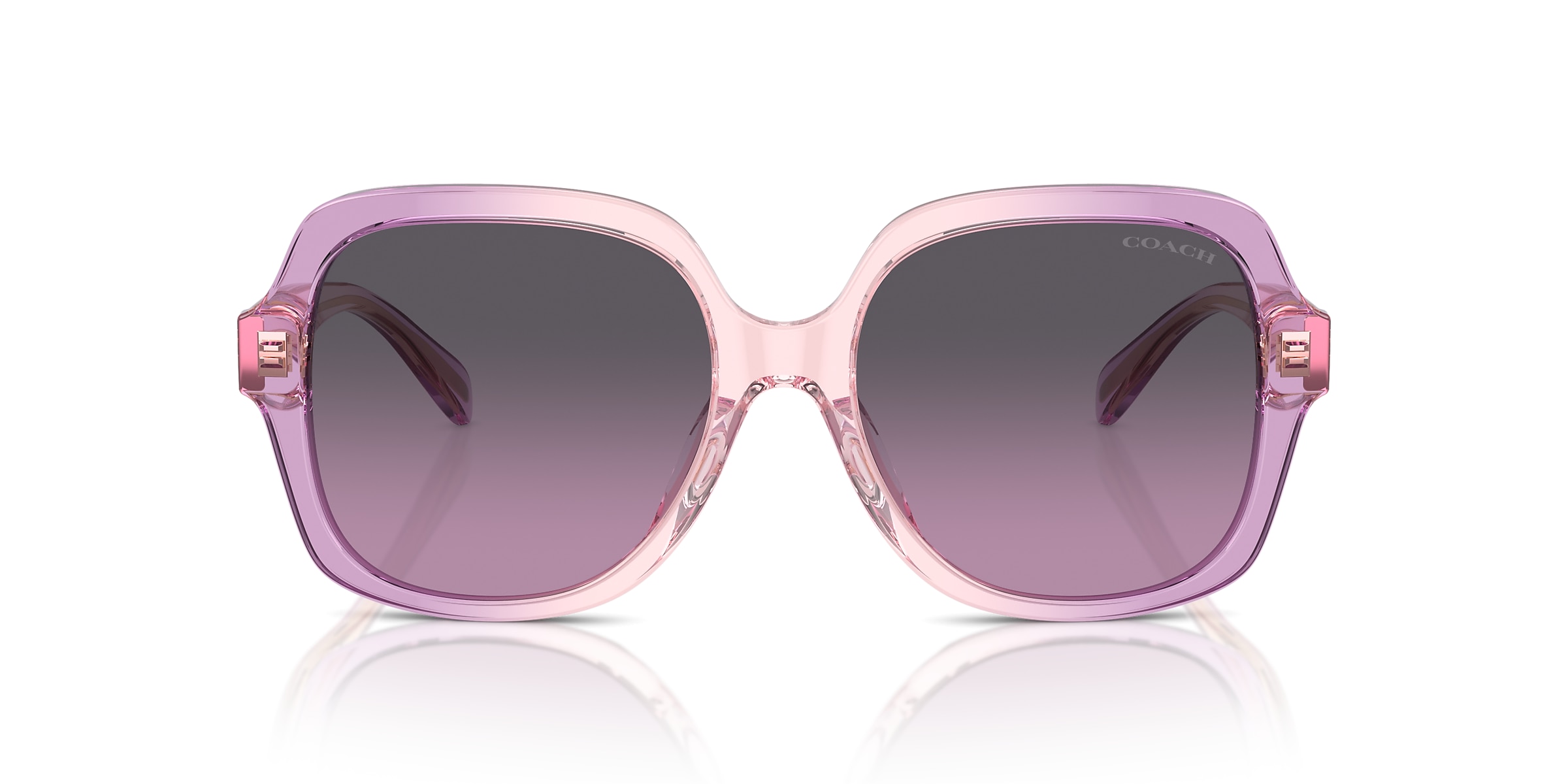 Coach Sunglasses HC8395U CR614