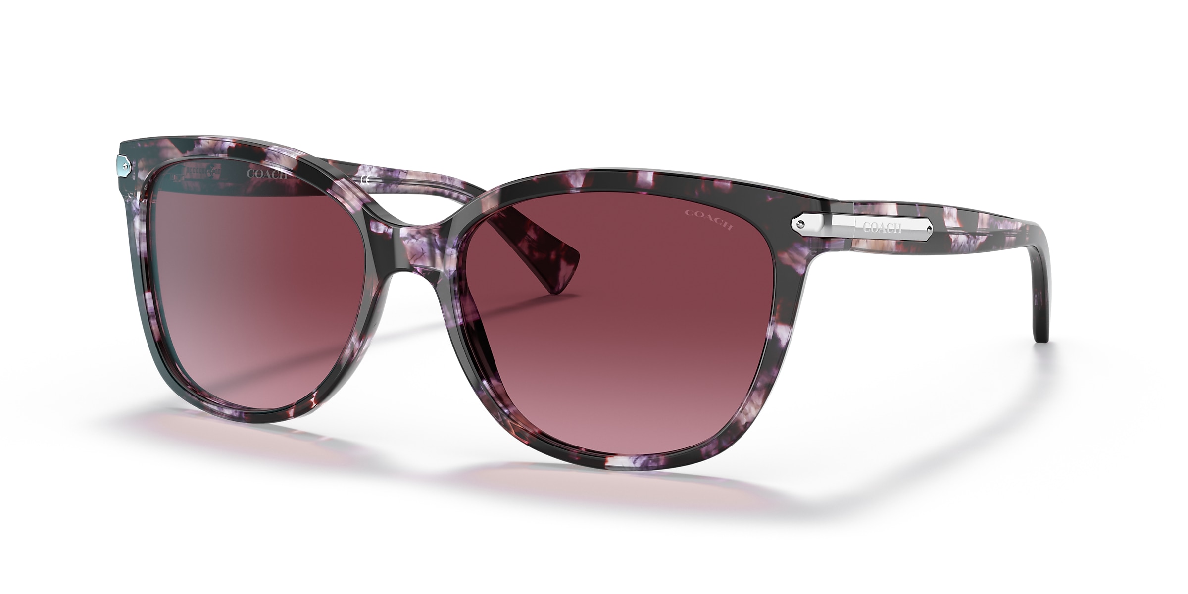 Coach Sunglasses HC8132 L109