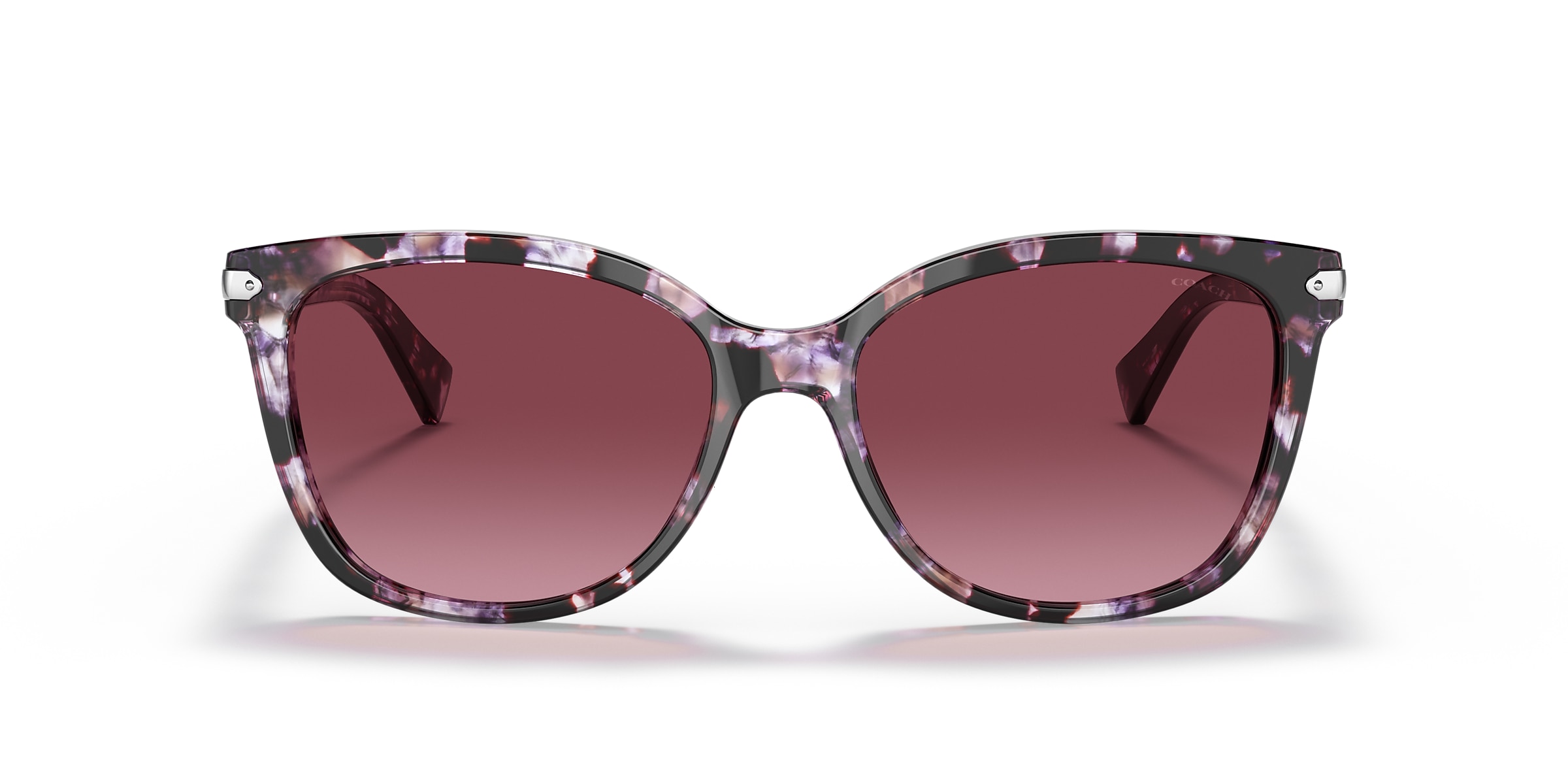 Coach Sunglasses HC8132 L109