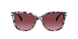 Coach Sunglasses HC8132 L109