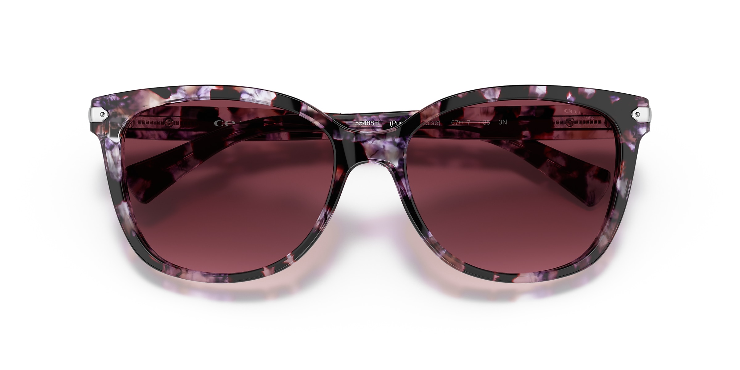 Coach Sunglasses HC8132 L109