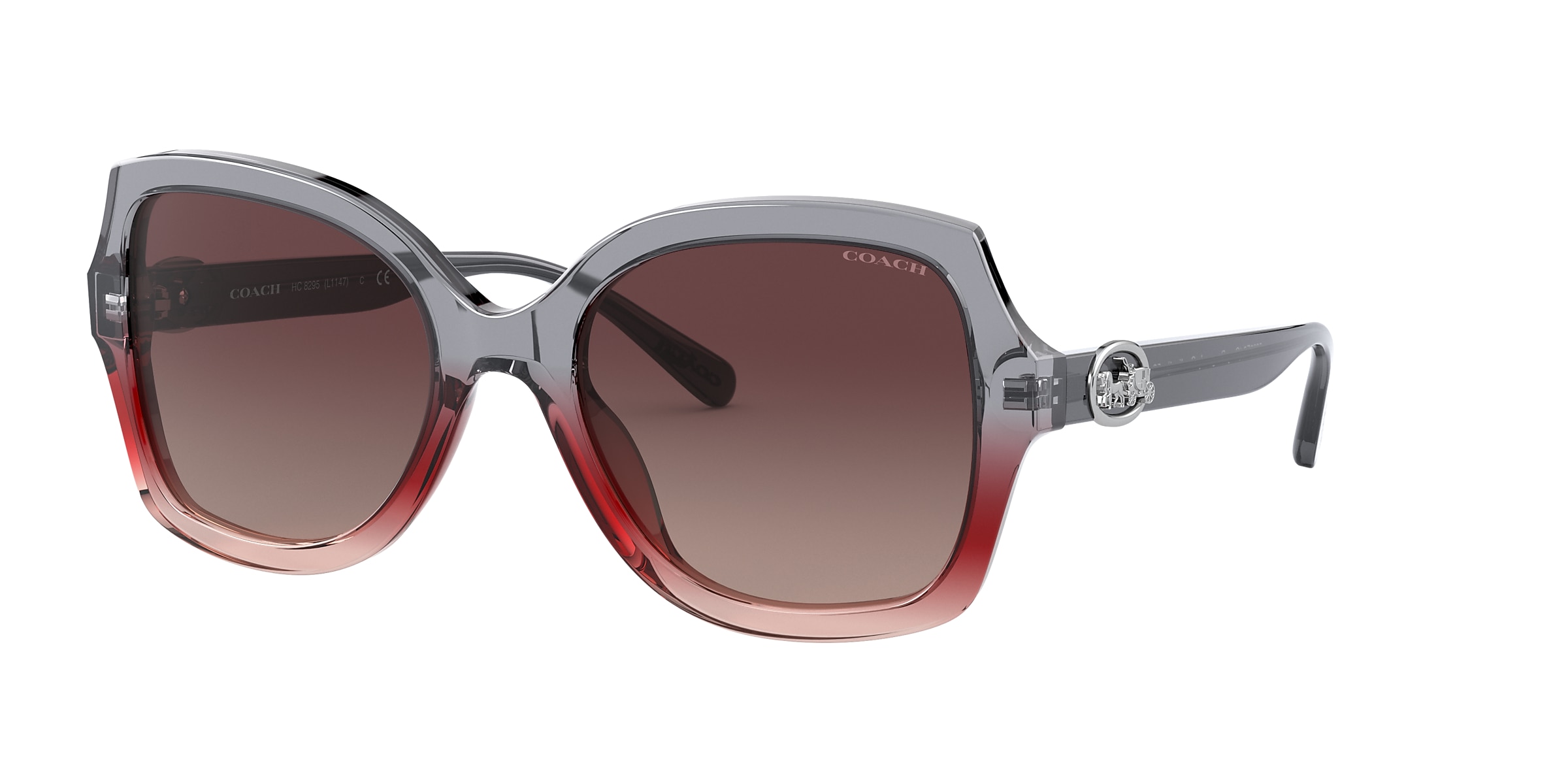 Coach Sunglasses HC8295 L1147