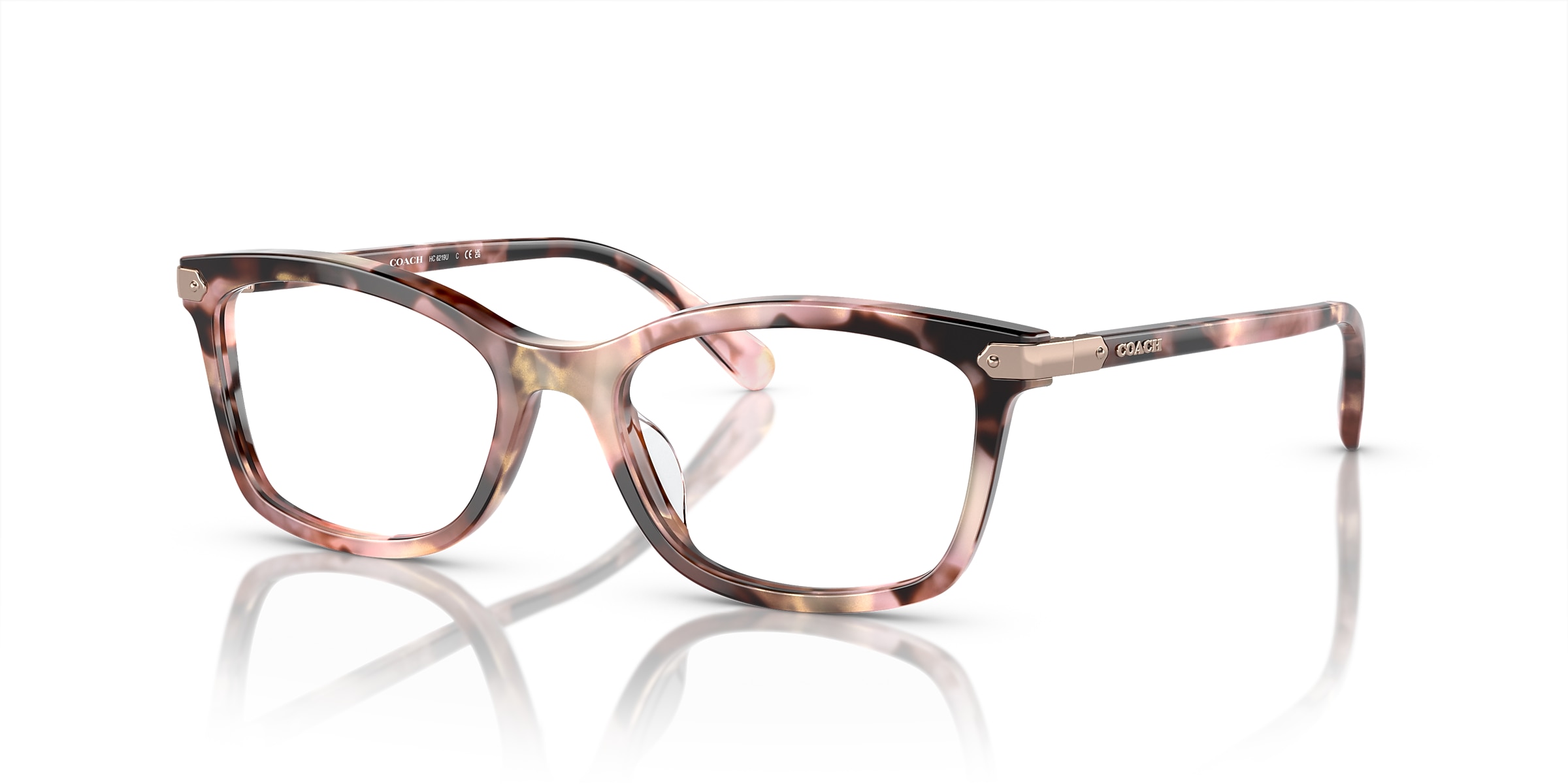 Coach Glasses HC6219U