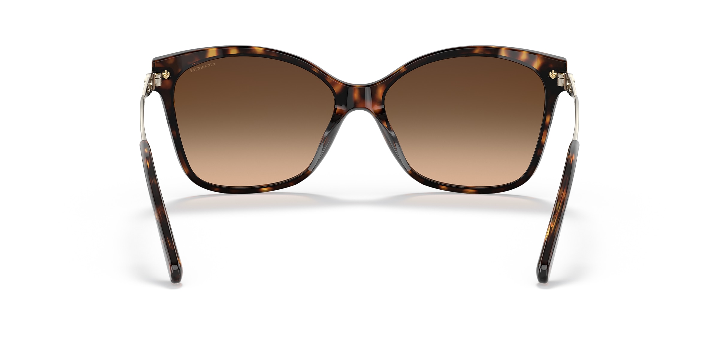 Coach Sunglasses HC8316 C3446