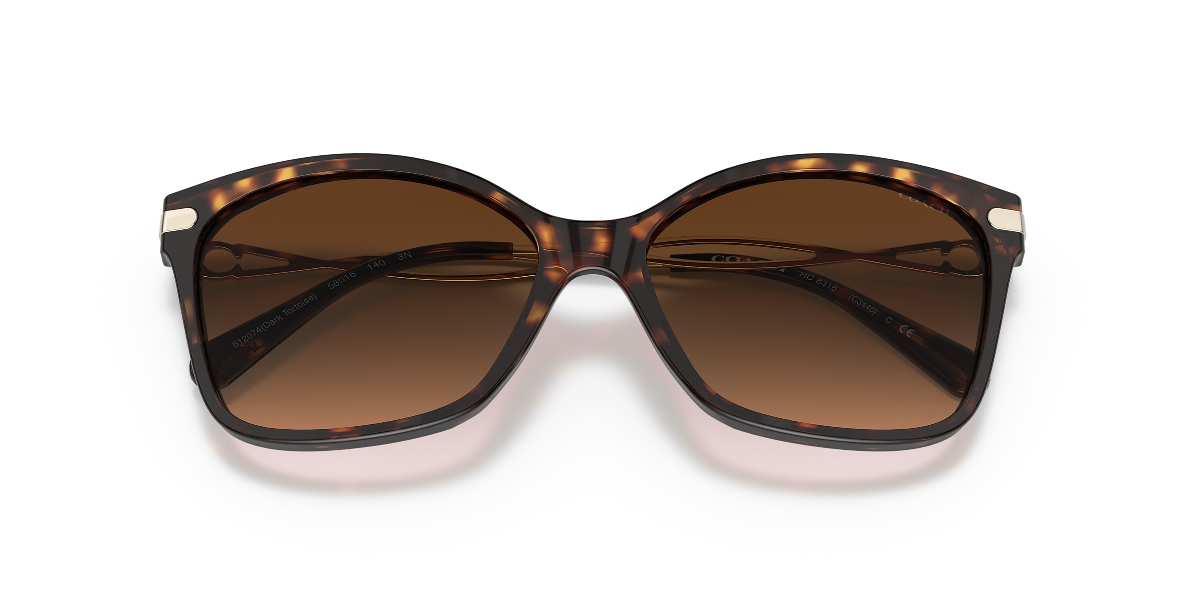 Coach Sunglasses HC8316 C3446