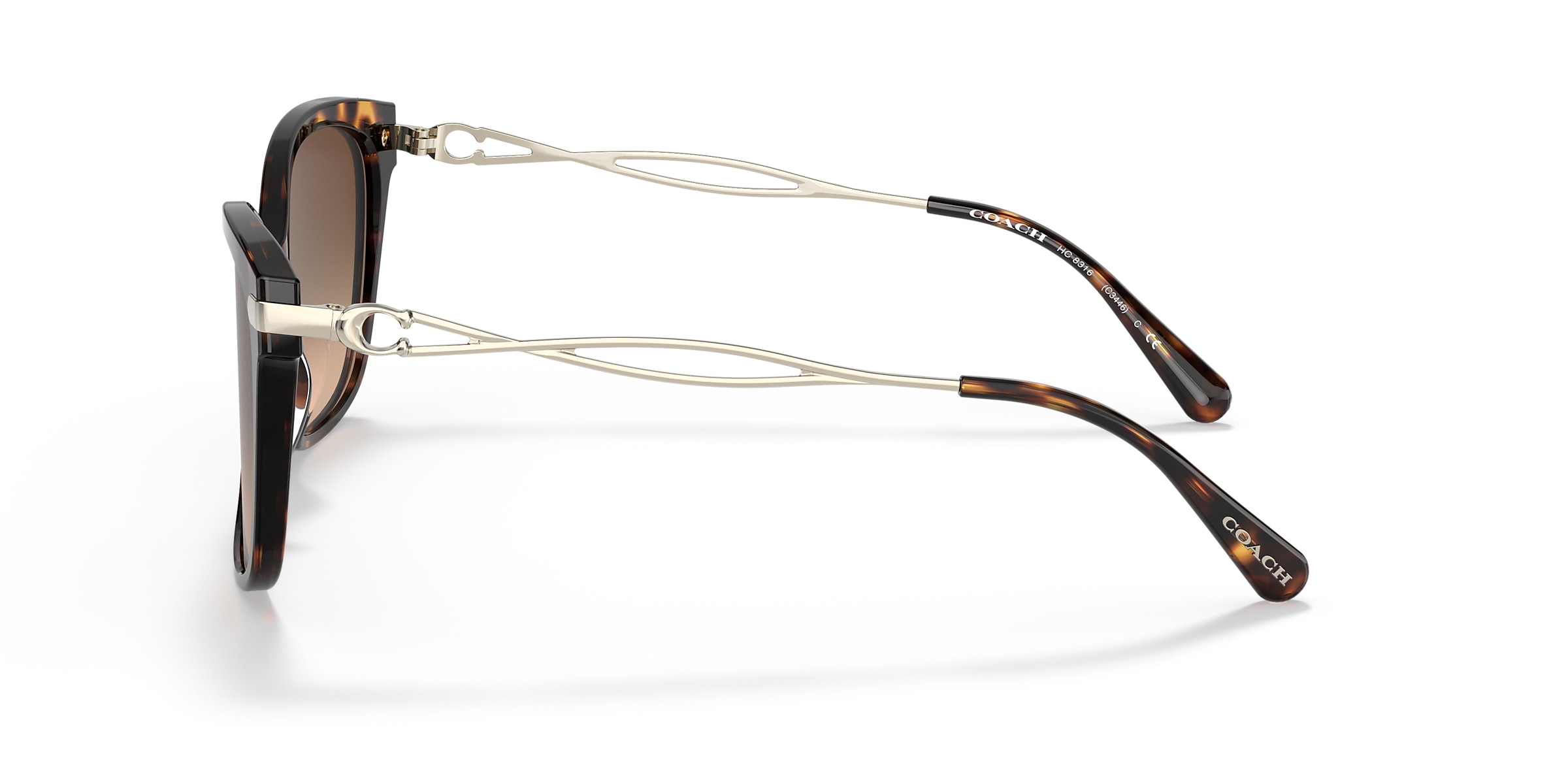 Coach Sunglasses HC8316 C3446